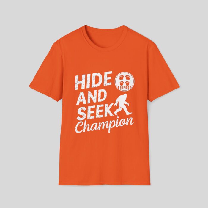 Hide and Seek Champion - Image 7