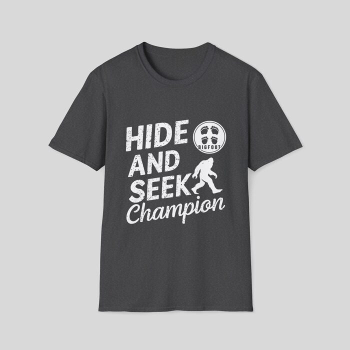 Hide and Seek Champion - Image 10