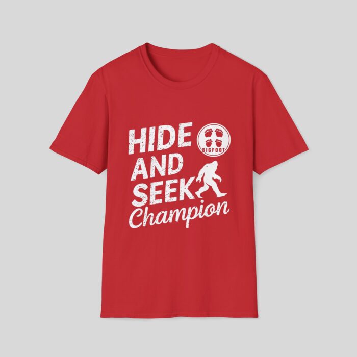 Hide and Seek Champion - Image 3